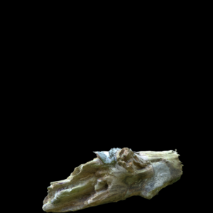 Timber Proxy Model for SketchUp with V-Ray