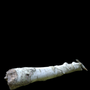 Timber Log Proxy Model for SketchUp with V-Ray