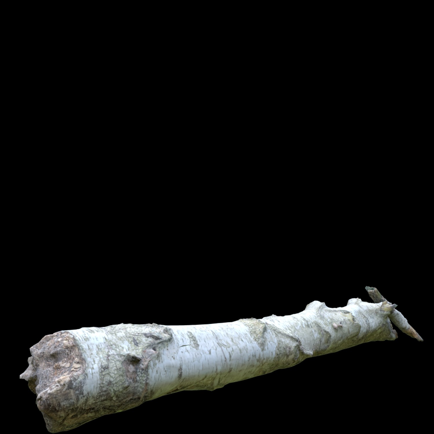 Timber Log Proxy Model for SketchUp with V-Ray