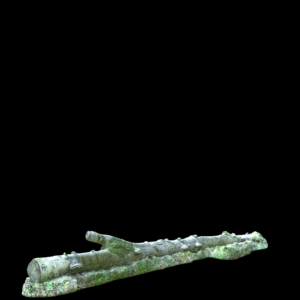 Timber Log Proxy Model