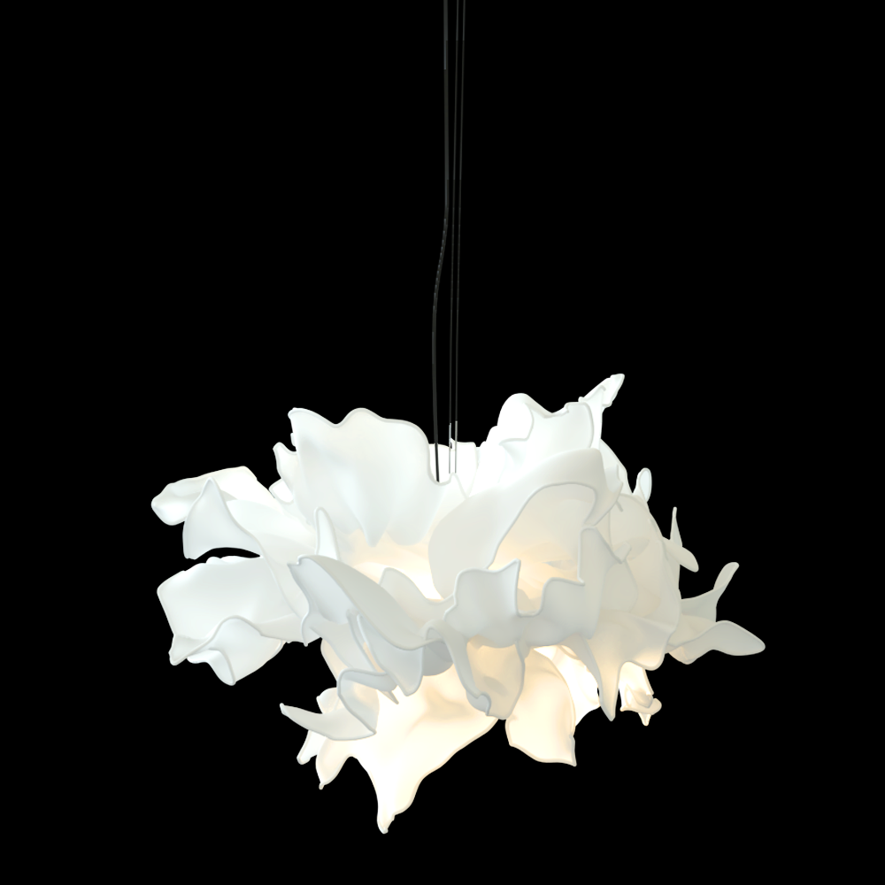 Elegant Ceiling Lamp