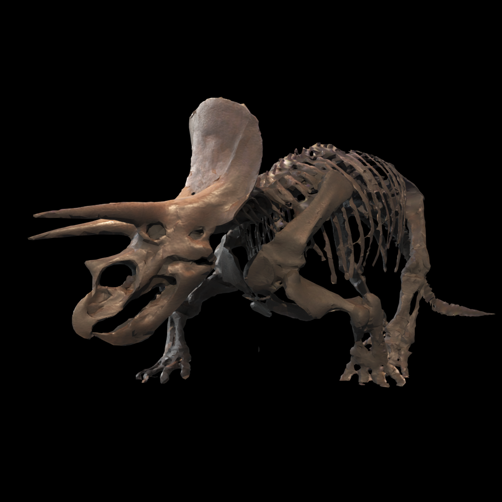 Tricelatop Proxy Model for SketchUp with V-Ray