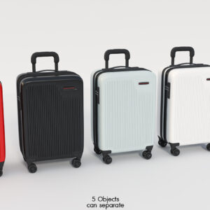 Briggs & Riley Suitcase