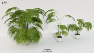 asset-3d-thumbnail