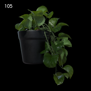 Potted Plant Model