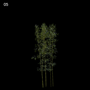 Bamboo Plant Proxy Model for SketchUp with V-Ray