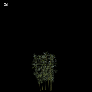 Bamboo Plant Proxy Model for SketchUp with V-Ray