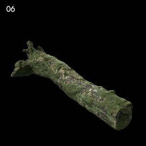 Realistic Mossy Log Proxy Model for SketchUp with V-Ray
