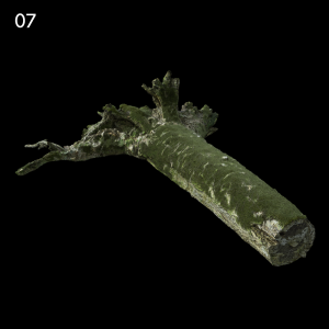 Mossy Tree Log Proxy Model
