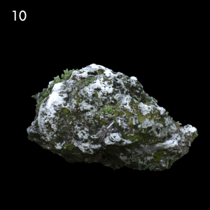 Mossy Rock Proxy Model for SketchUp