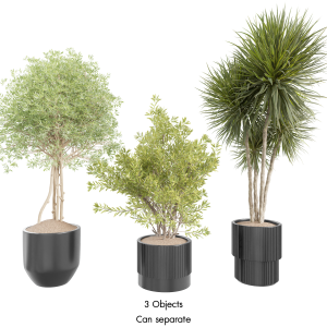 Premium Potted Plants Proxy Model for SketchUp