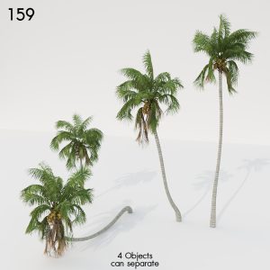 Coconut Palm Tree Proxy Model