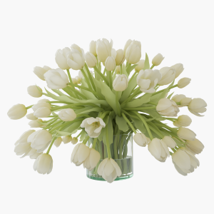 White Tulips Proxy Model