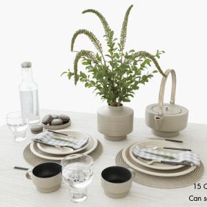 Elegant Tableware Set