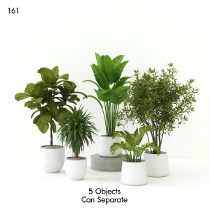 Indoor Plant Set