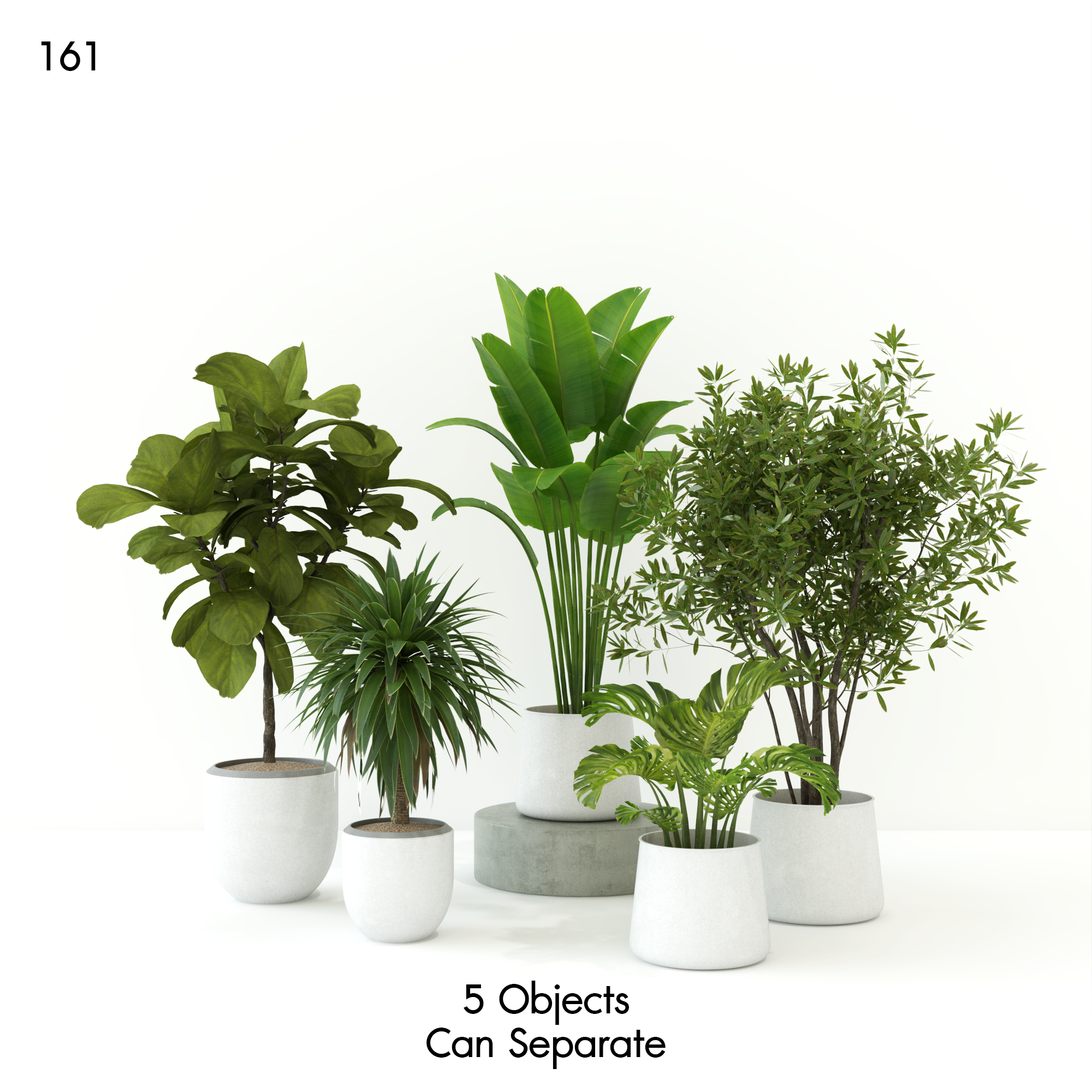 Indoor Plant Set