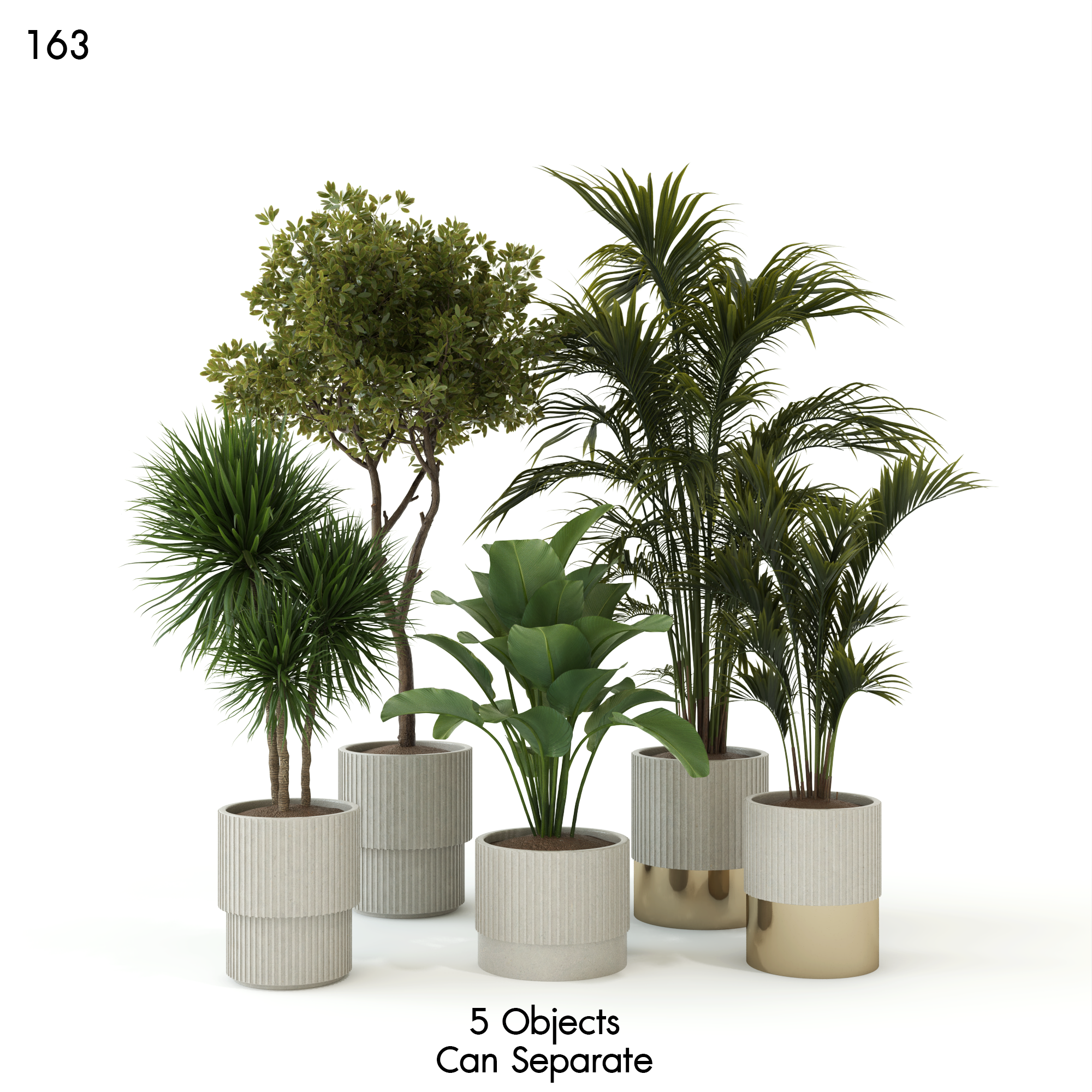 Indoor Plant Set