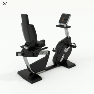 Technogym Recline Form Bicycle