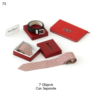 Ferragamo Luxury Accessory Set