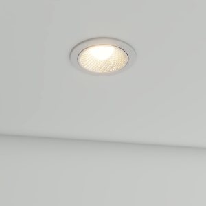 LED Downlight