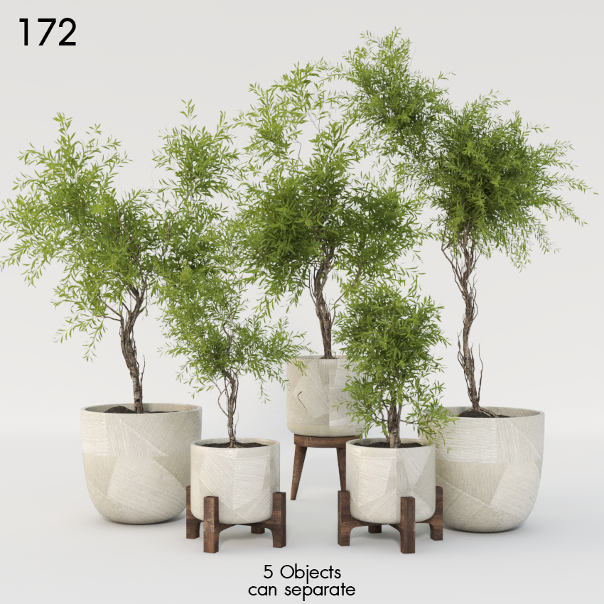 Indoor Plant Set