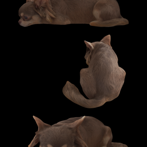 Realistic Dog Laying Proxy Model