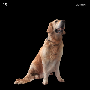 Realistic Golden Retriever Proxy Model for SketchUp with V-Ray