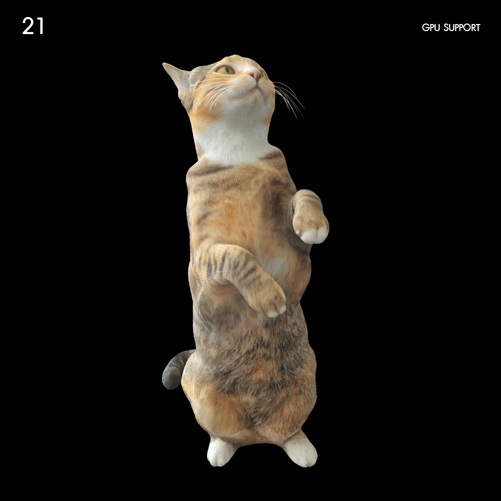 Cat Model for SketchUp with V-Ray