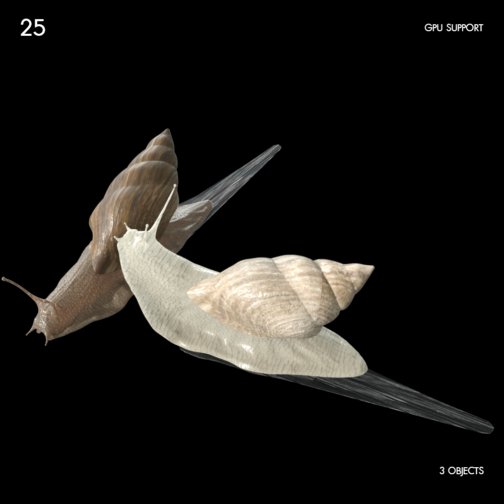 Snail Proxy Model for SketchUp with V-Ray