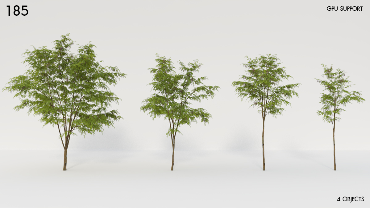 Robinia Tree Proxy Model