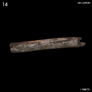 Tree Debris Proxy Model