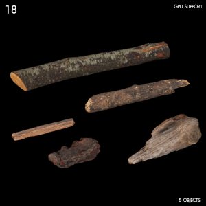 Wood Debris Proxy Model