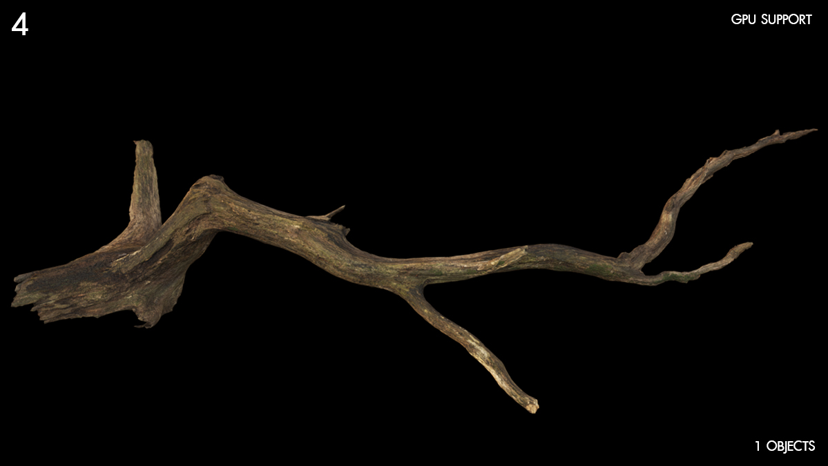 Large Fallen Tree Branch