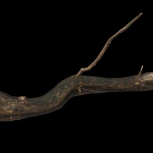 Large Fallen Tree Proxy Model